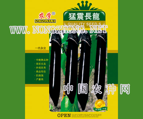 猛震长龙茄子种子